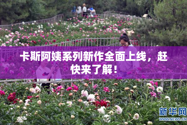 卡斯阿姨系列新作全面上线，赶快来了解！
