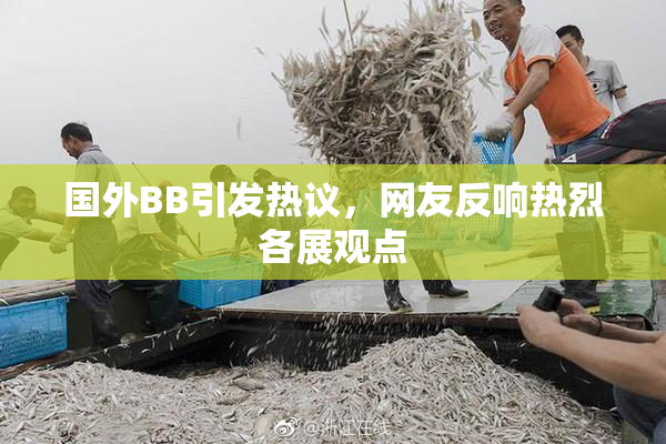 国外BB引发热议，网友反响热烈各展观点