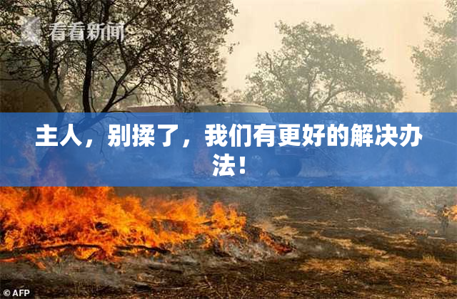 主人，别揉了，我们有更好的解决办法！