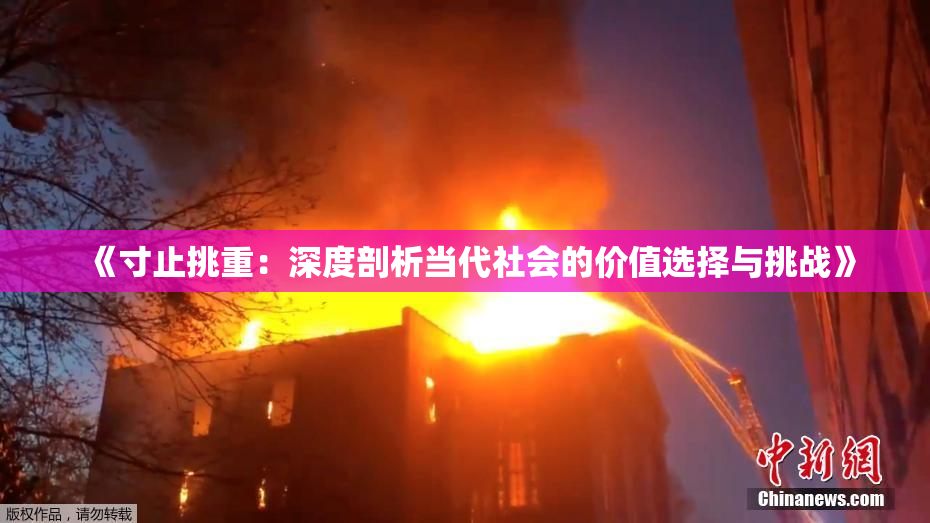 《寸止挑重：深度剖析当代社会的价值选择与挑战》