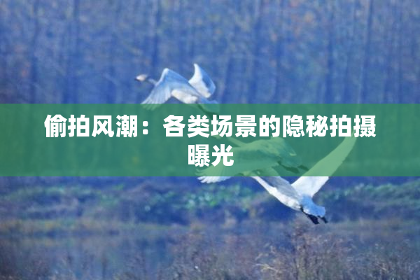 偷拍风潮：各类场景的隐秘拍摄曝光