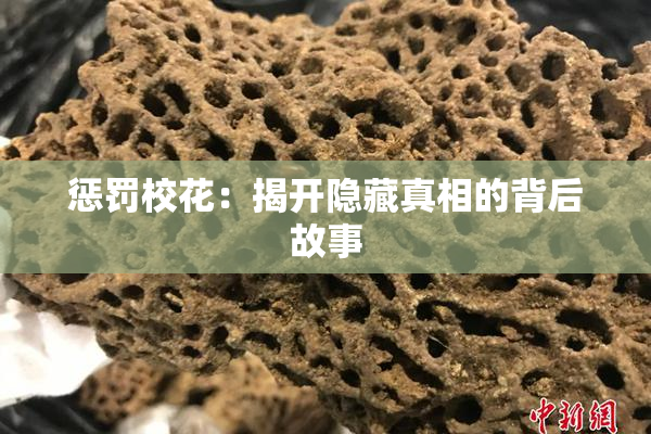 惩罚校花：揭开隐藏真相的背后故事