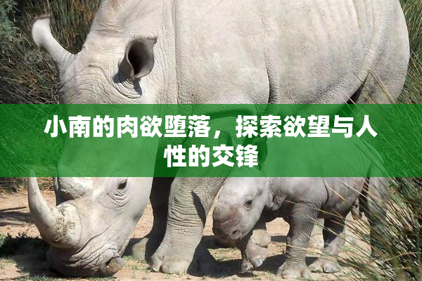 小南的肉欲堕落，探索欲望与人性的交锋