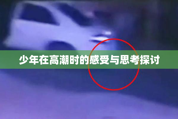 少年在高潮时的感受与思考探讨