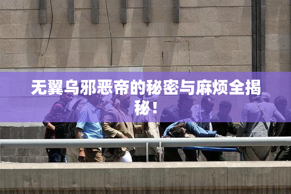 无翼乌邪恶帝的秘密与麻烦全揭秘！