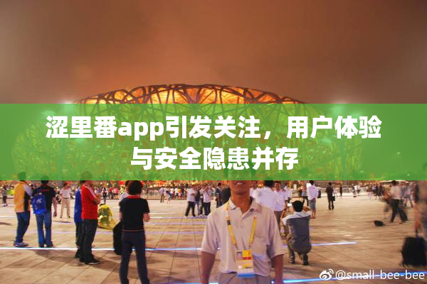 涩里番app引发关注，用户体验与安全隐患并存