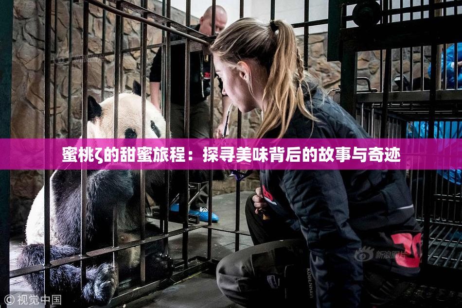 蜜桃ζ的甜蜜旅程：探寻美味背后的故事与奇迹