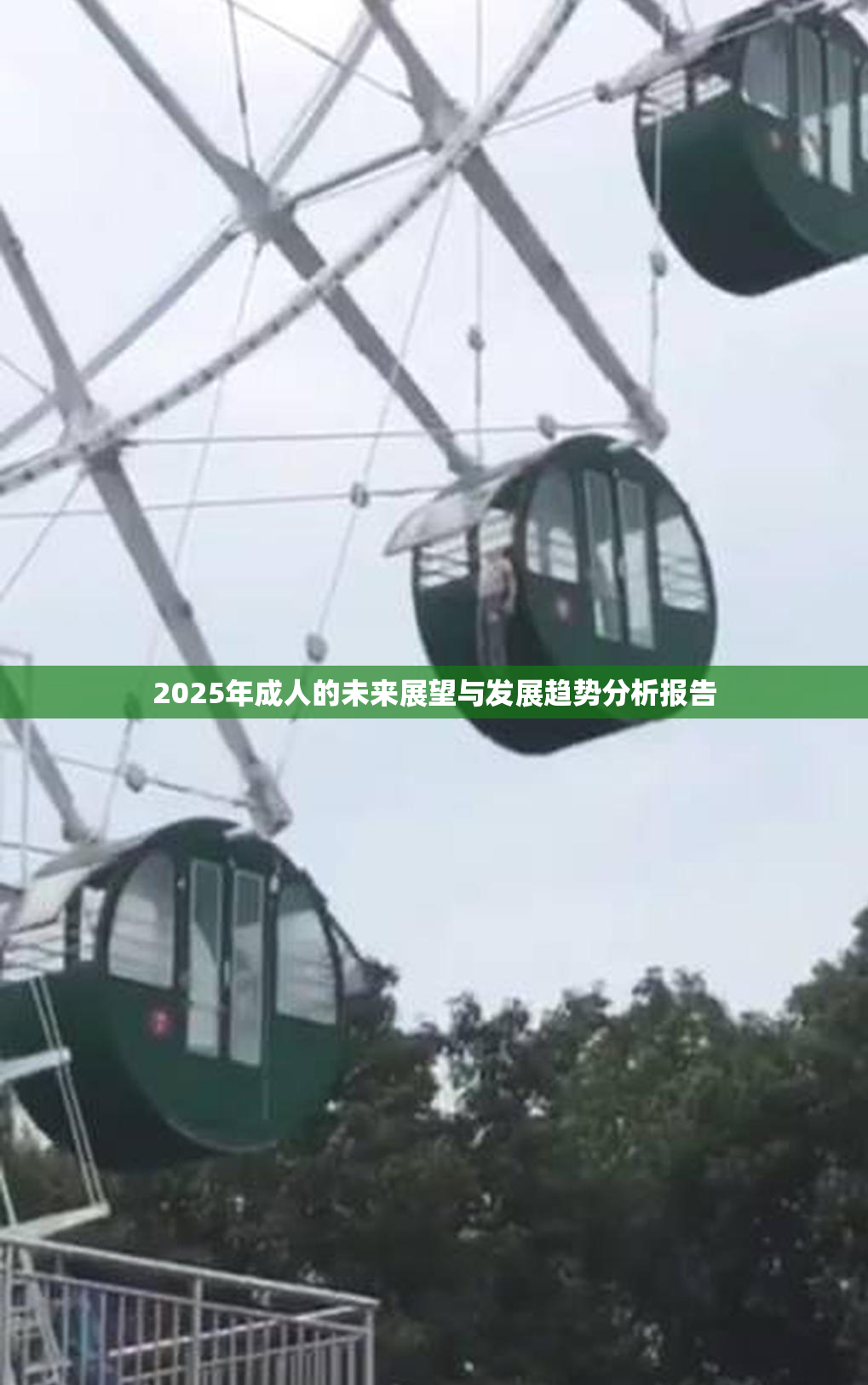 2025年成人的未来展望与发展趋势分析报告