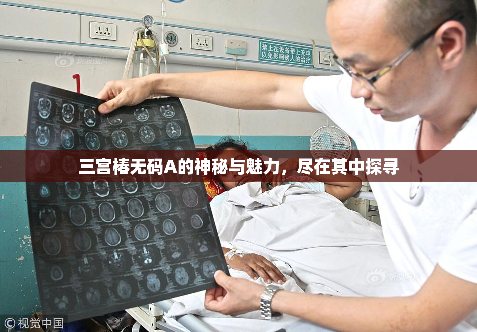 三宫椿无码A的神秘与魅力，尽在其中探寻