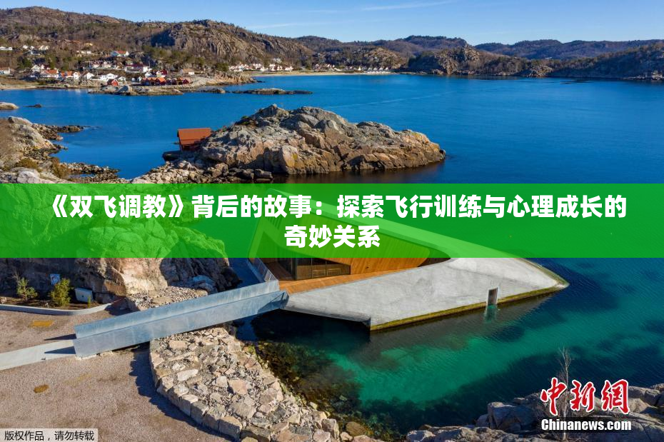 《双飞调教》背后的故事：探索飞行训练与心理成长的奇妙关系