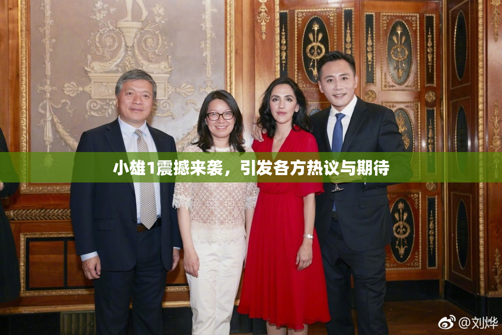 小雄1震撼来袭，引发各方热议与期待