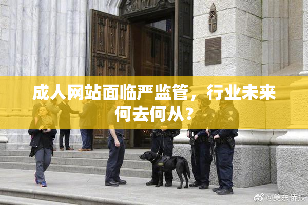 成人网站面临严监管，行业未来何去何从？