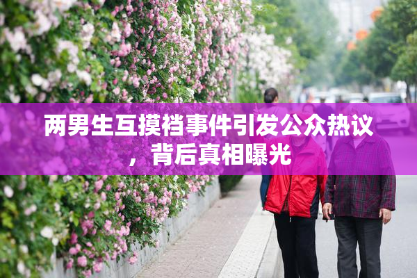 两男生互摸裆事件引发公众热议，背后真相曝光