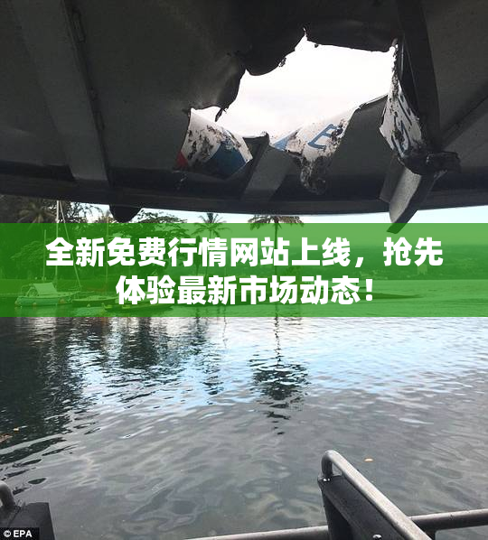 全新免费行情网站上线，抢先体验最新市场动态！
