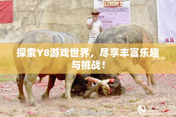 探索Y8游戏世界，尽享丰富乐趣与挑战！