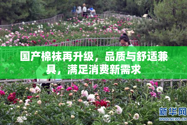 国产棉袜再升级，品质与舒适兼具，满足消费新需求