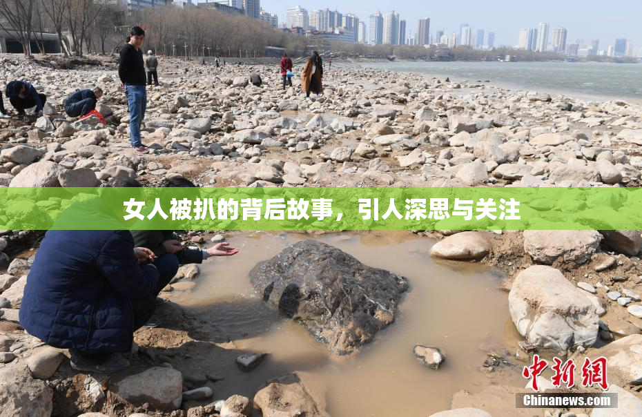 女人被扒的背后故事，引人深思与关注