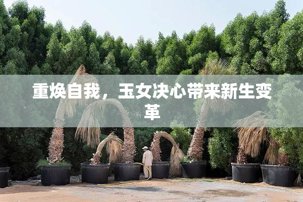 重焕自我，玉女决心带来新生变革