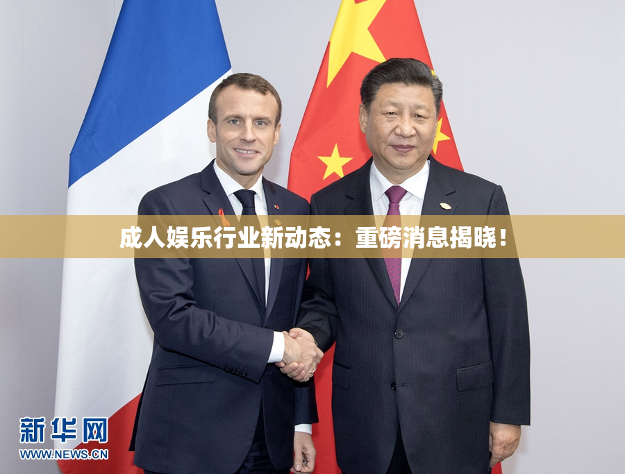 成人娱乐行业新动态：重磅消息揭晓！