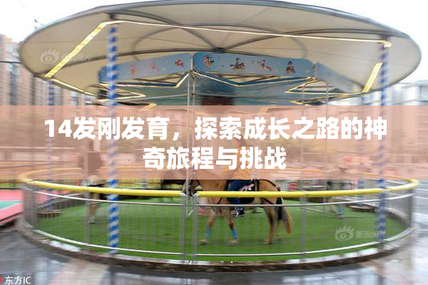 14发刚发育，探索成长之路的神奇旅程与挑战
