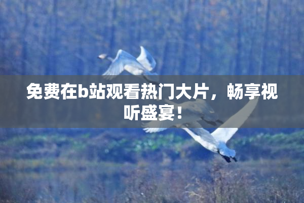 免费在b站观看热门大片，畅享视听盛宴！