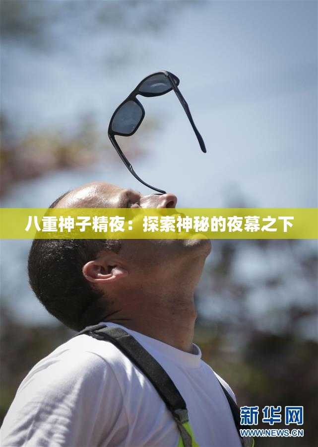 八重神子精夜：探索神秘的夜幕之下