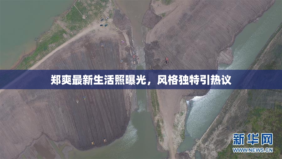 郑爽最新生活照曝光，风格独特引热议