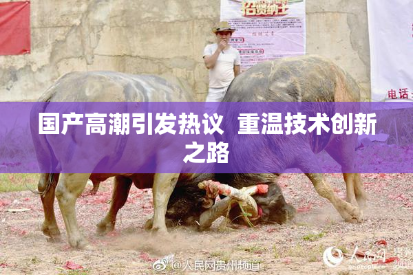 国产高潮引发热议  重温技术创新之路