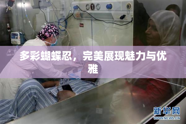 多彩蝴蝶忍，完美展现魅力与优雅