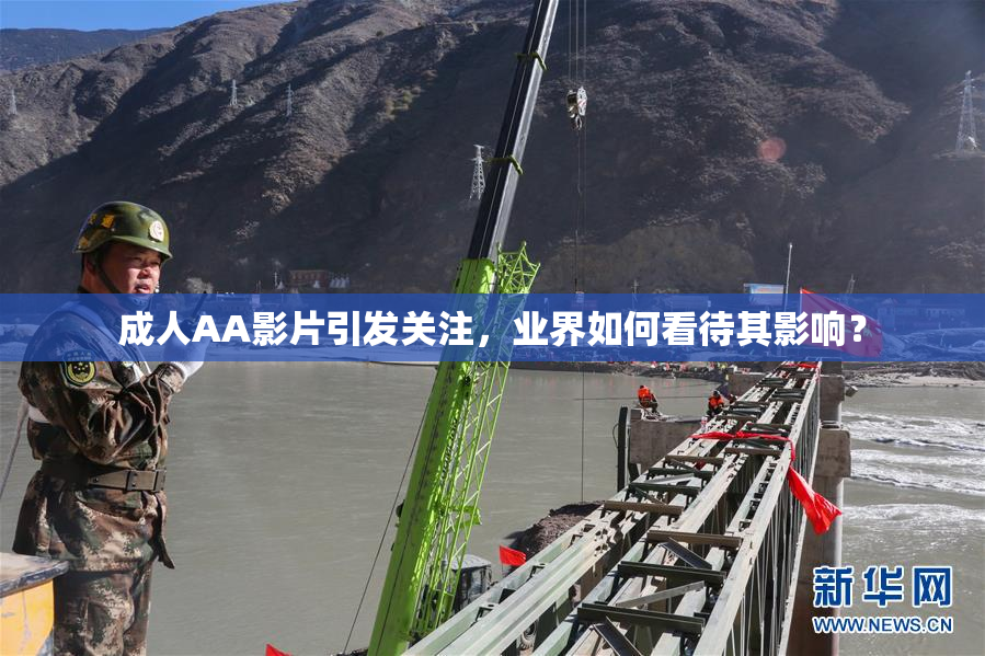 成人AA影片引发关注，业界如何看待其影响？
