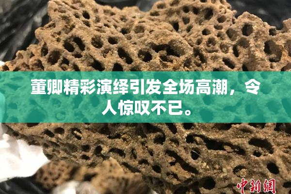 董卿精彩演绎引发全场高潮，令人惊叹不已。