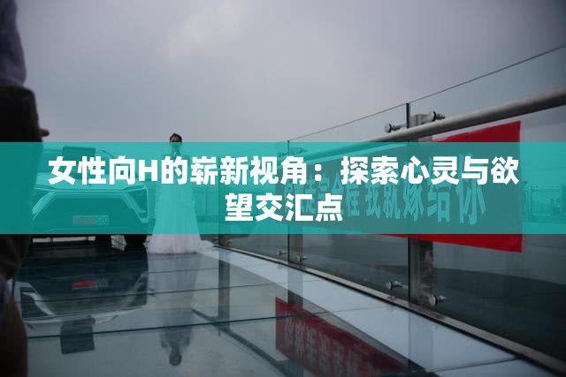 女性向H的崭新视角：探索心灵与欲望交汇点