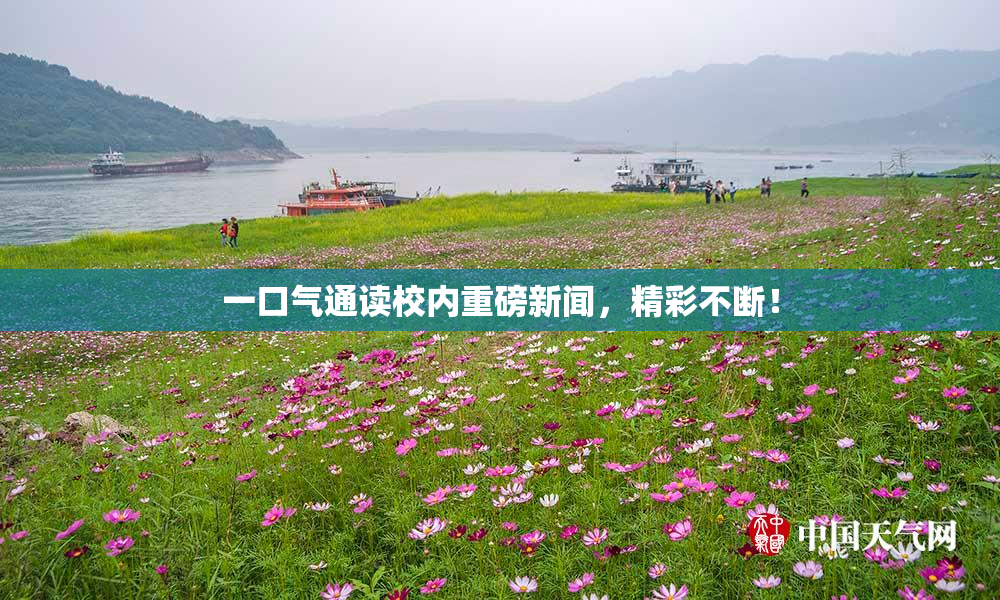一口气通读校内重磅新闻，精彩不断！