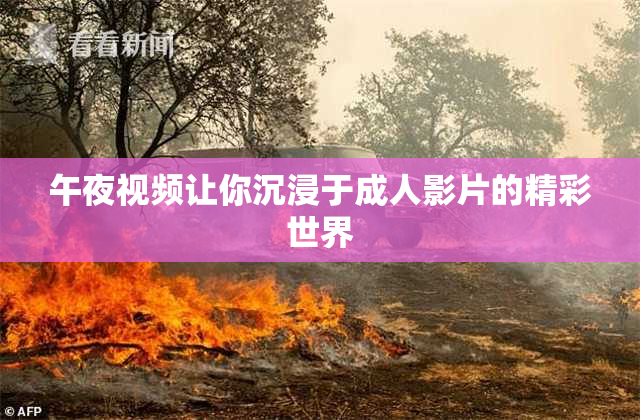 午夜视频让你沉浸于成人影片的精彩世界