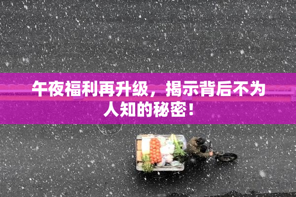 午夜福利再升级，揭示背后不为人知的秘密！