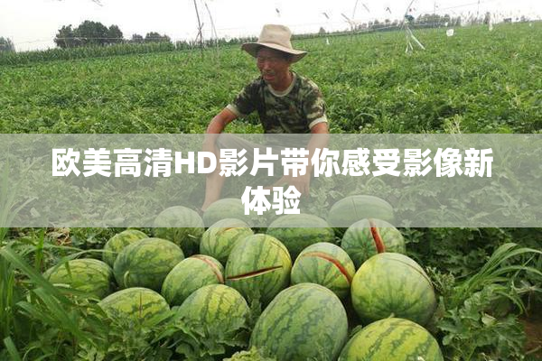 欧美高清HD影片带你感受影像新体验