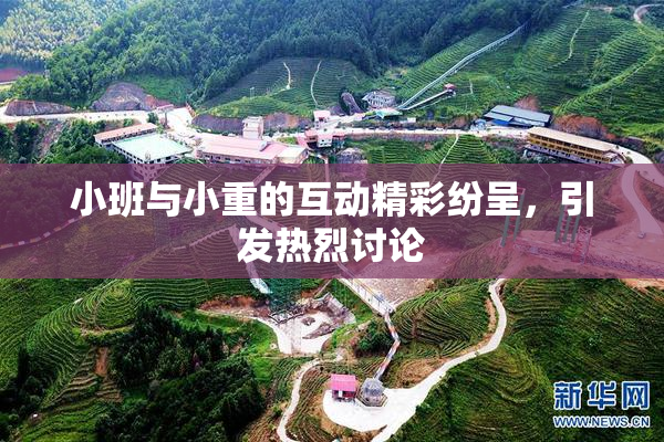 小班与小重的互动精彩纷呈，引发热烈讨论