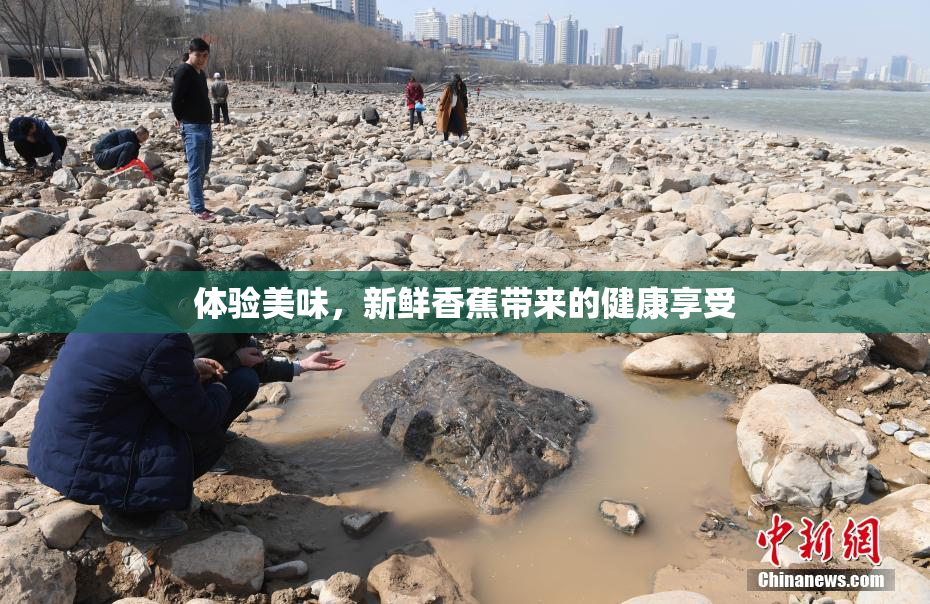 体验美味，新鲜香蕉带来的健康享受
