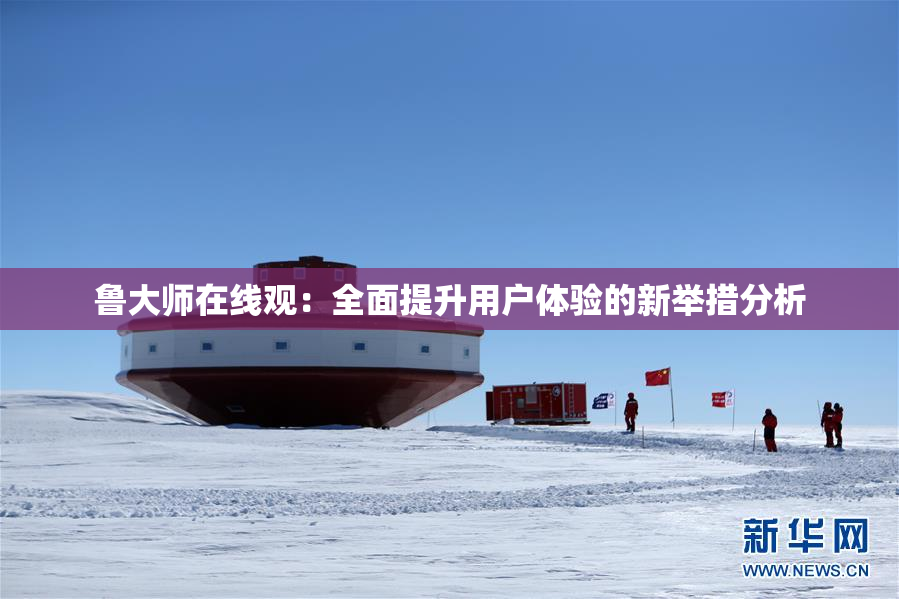 鲁大师在线观：全面提升用户体验的新举措分析