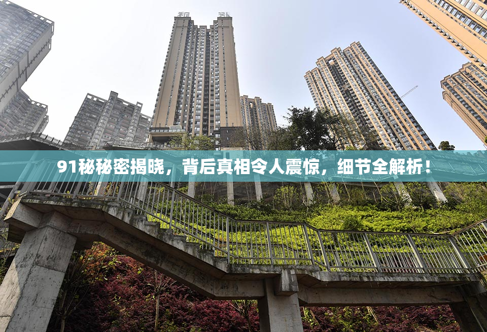 91秘秘密揭晓，背后真相令人震惊，细节全解析！