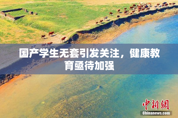 国产学生无套引发关注，健康教育亟待加强