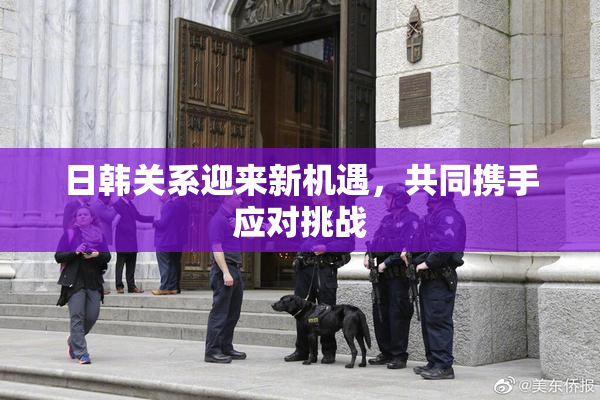 日韩关系迎来新机遇，共同携手应对挑战