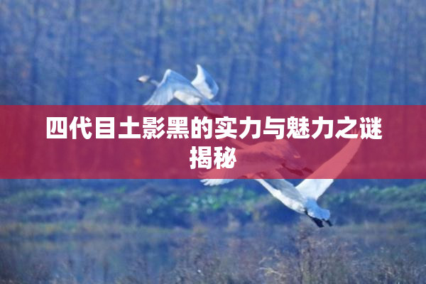 四代目土影黑的实力与魅力之谜揭秘