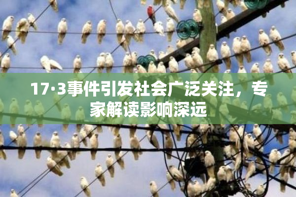 17·3事件引发社会广泛关注，专家解读影响深远
