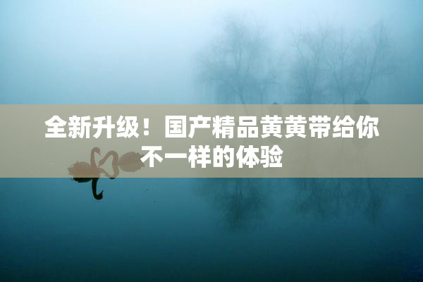 全新升级！国产精品黄黄带给你不一样的体验