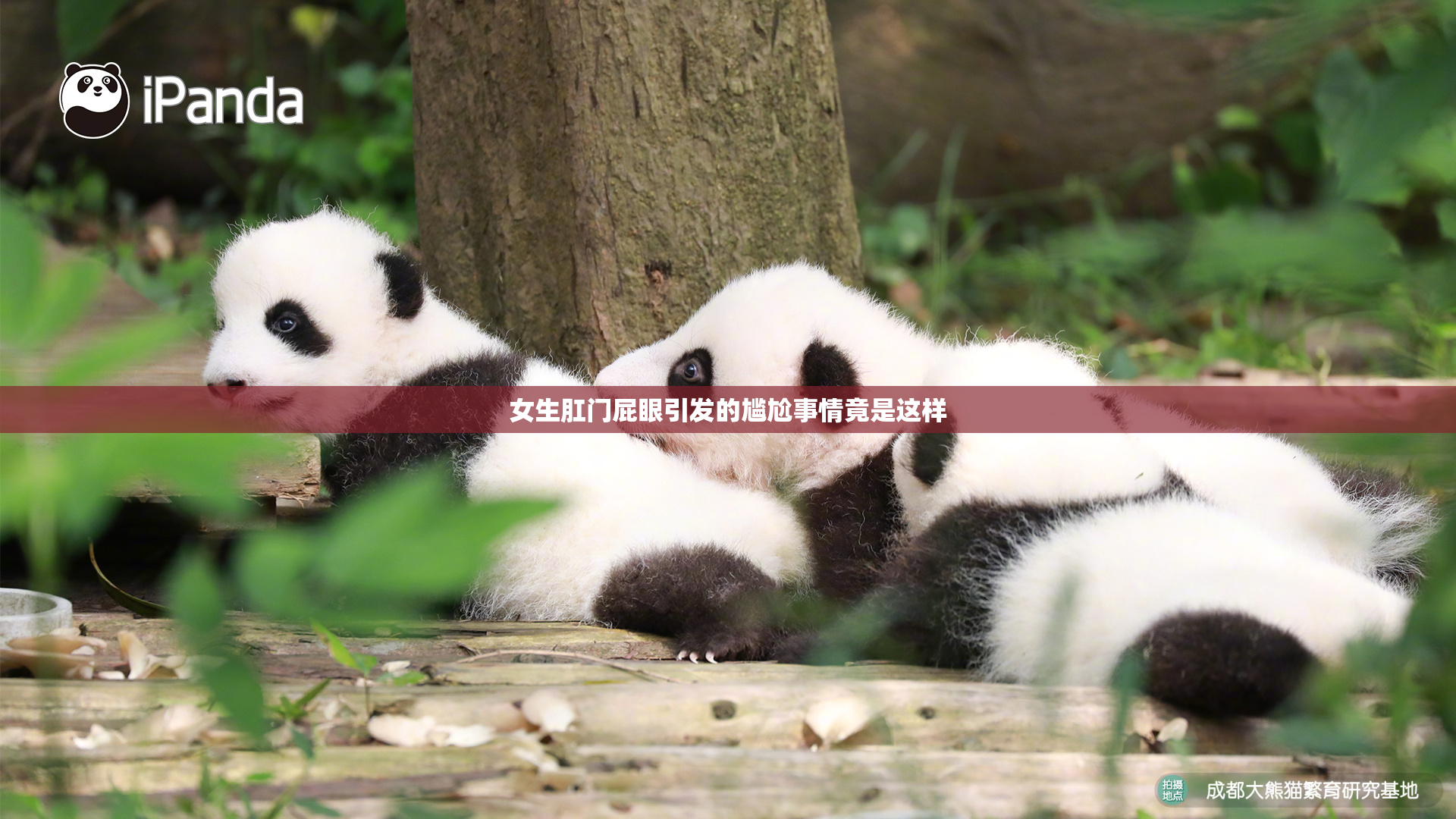 女生肛门屁眼引发的尴尬事情竟是这样