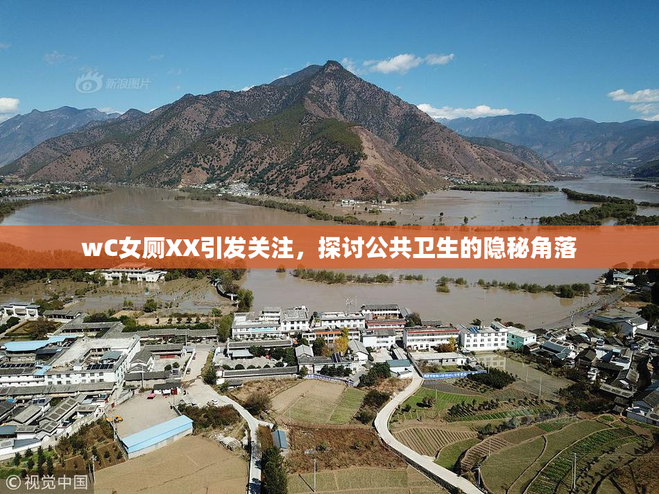 wC女厕XX引发关注，探讨公共卫生的隐秘角落