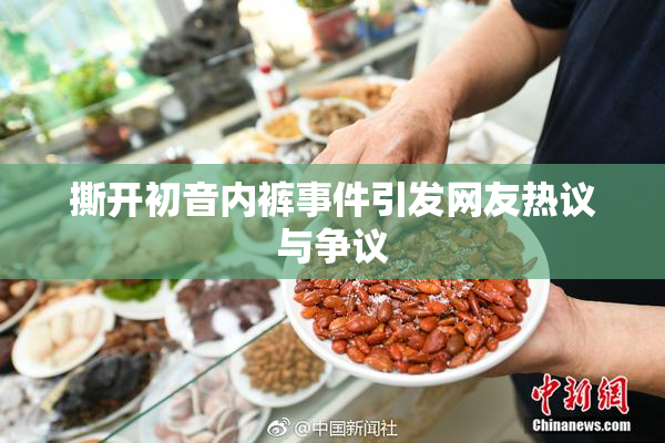 撕开初音内裤事件引发网友热议与争议