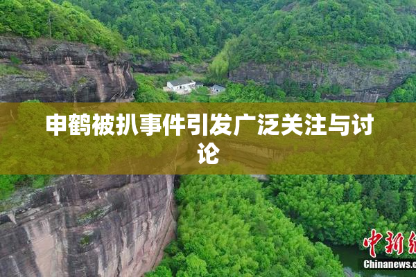 申鹤被扒事件引发广泛关注与讨论