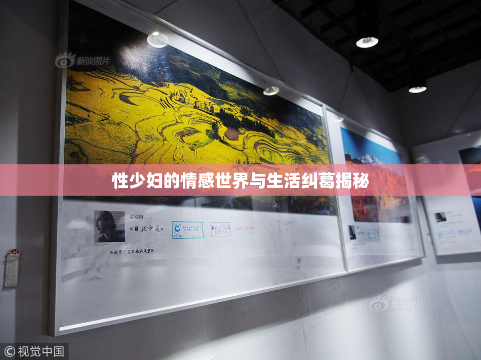 性少妇的情感世界与生活纠葛揭秘